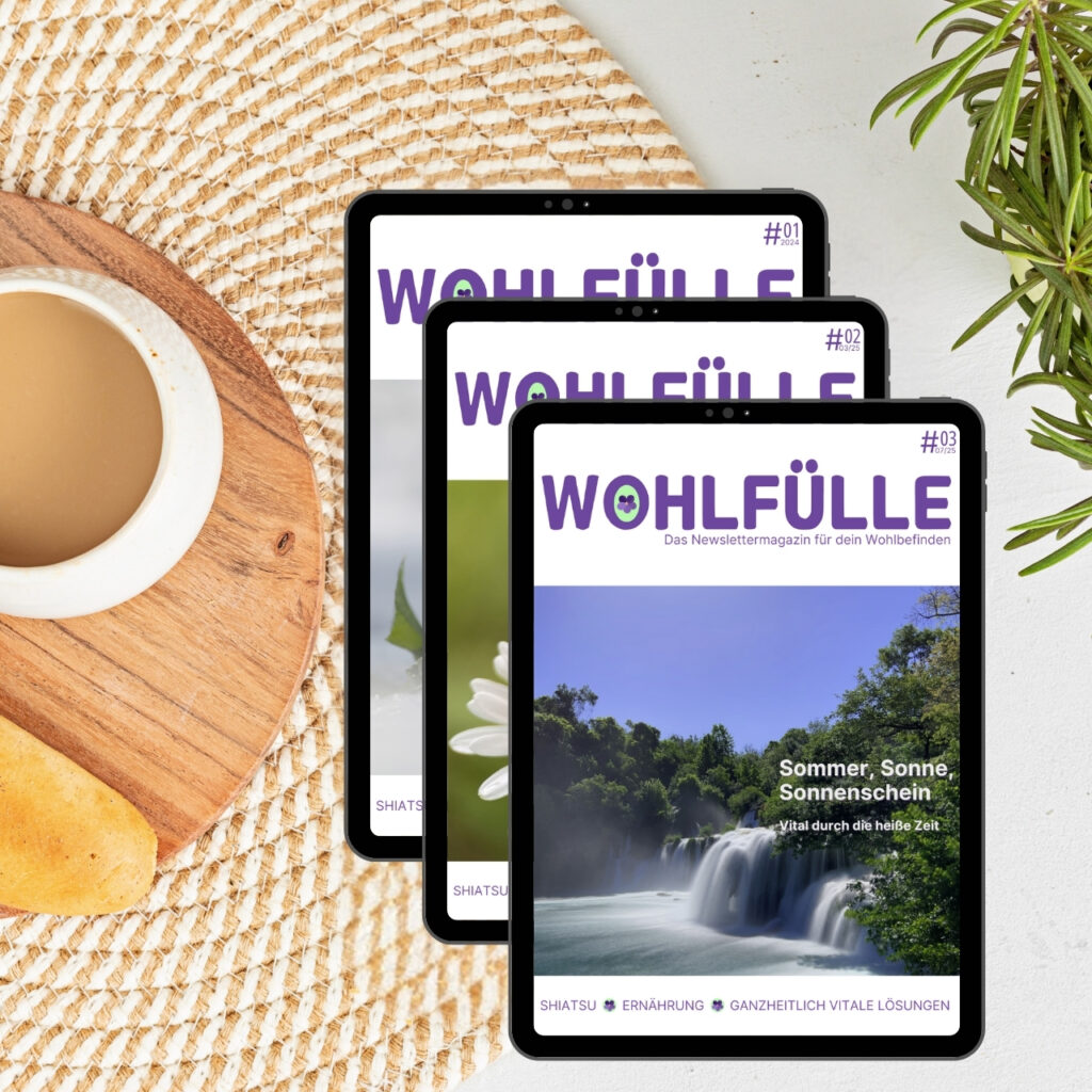 Newslettermagazin_Wohlfuelle_Ausgaben01-03_hell Ausgaben_Wohlfülle_Magazin